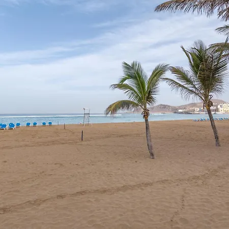 Siempreviva Canteras 라스팔마스