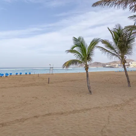 Siempreviva Canteras Las Palmas / Gran Canaria