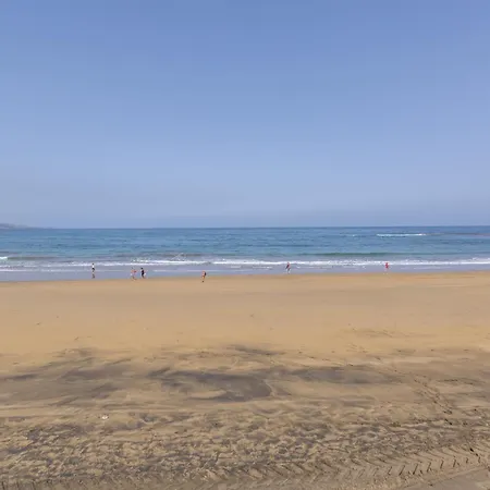 Siempreviva Canteras Las Palmas / Gran Canaria